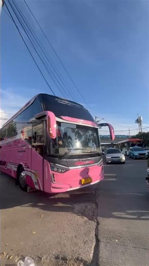 All new line perdana 🥰 bus #rimbaraya #shotsviral
