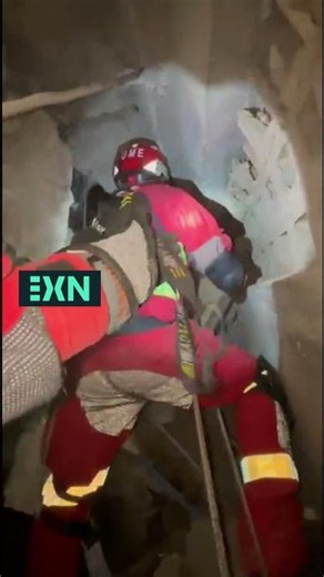 The UME searches for victims in the rubble with the help of dogs.