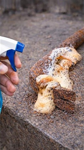 The Best Rust Removal Method for Saw Blades #cleaning #diy #hacks