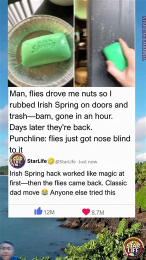 Irish Spring Soap Repels Flies? My Hack Worked... Until It Didn't