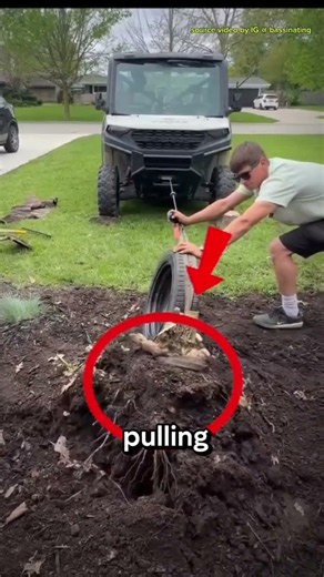 A simple but effective way to completely remove tree stumps and roots #shorts
