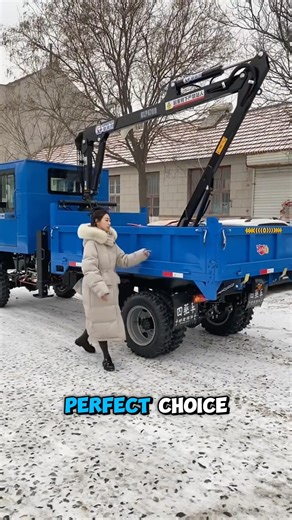 Affordable 4WD farm & construction #4WDTruck #FarmEquipment #ConstructionTruck #FactoryPrice