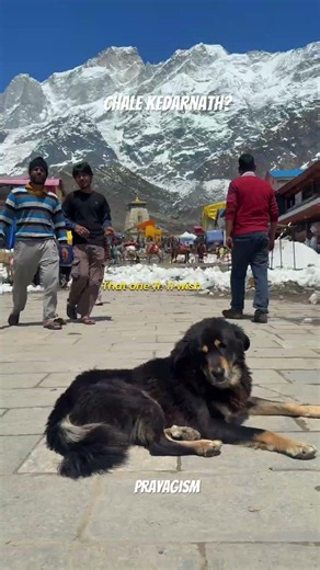 Kedarnath , a dream for many hindus