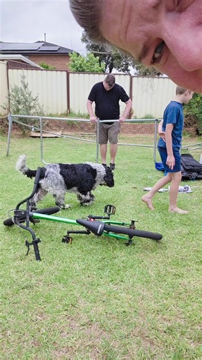 Start Your Year with Family Fun on the Trampoline