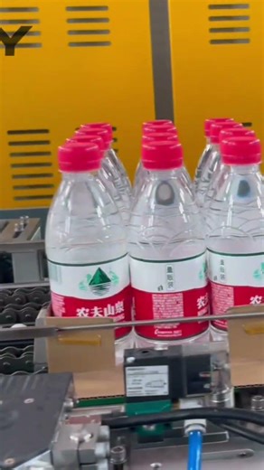 Mineral water automatic paper-adding and film-holding machine, 20-25 bags/min #beverage#factory