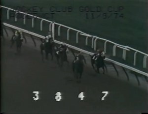 1974 Jockey Club Gold Cup - Forego When Secretariat existed the stage in 1973, I'm sure it left the racing world wondering how long they'd have to wait for the next great one. But the truth was, he was right there in that same 1970 crop, it just took him awhile to figure it all out. This win capped a season that saw Forego named Horse of the year, the first of three straight times he'd be named. He would also be named Champion Older horse four straight times. He could do anything you can ask a h