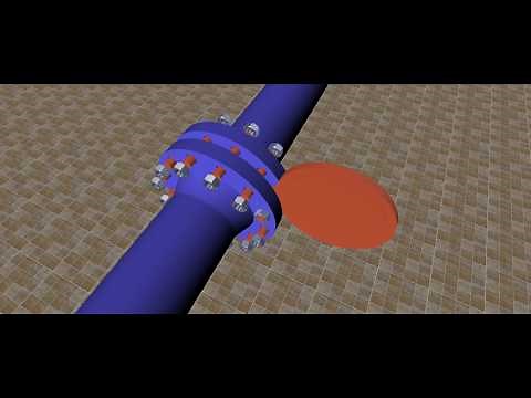 Spectacle Blind Animation