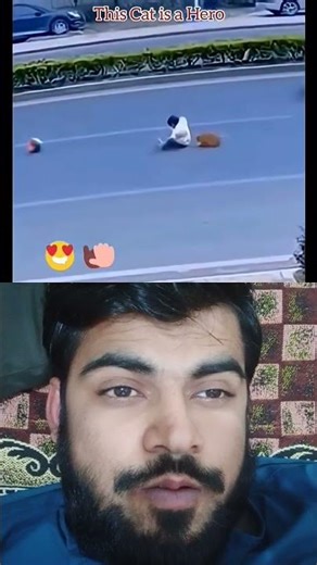 Mashallah Respect #status #allah