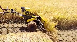 1.2M views · 1.7K shares | A farmer is using our Multi Crop Harvester Reaper Machine in the paddy field with ease. #kisankraft #multicropharvester #reaper #wheatharvester #demonstration #machineDemo #farmers #paddy #agriculture | KisanKraft | Facebook