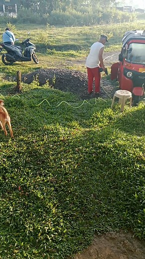 Dad's daily routine #cleaning #spraying #baobao | Vilma Alferez