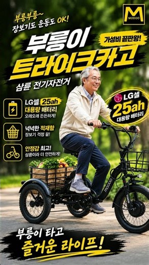 3-Wheel Electric Bike: LG Cell 25Ah Safe Large-Capacity Battery at This Price, The Ultimate Value...