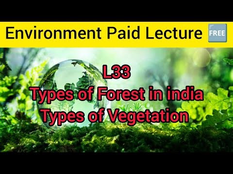 L33 Types of Forest in india Types of Vegetation
