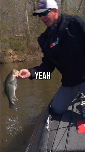 Pre-Spawn Crankbait Fishing is The JUICE! 🎣