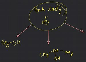 Explain lucas test with example... | Filo