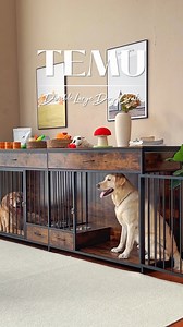 440K views | Transform your living space into a haven of comfort and style with Temu ✨ Click the link below or search dqj8729 to grab your gift 李#temufinds #temuhome | Tuile | Facebook