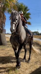 27K views · 741 reactions | Caballerango mi sobrino Lalito | Karina Puga | Facebook