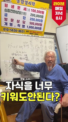 [Shorts] 1-Minute Astrology Summary : Live Broadcast Tonight at 8 PM! #korean #SajuLecture #Manse...