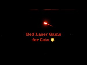 Red Laser Game - Video for Cats - Cat TV