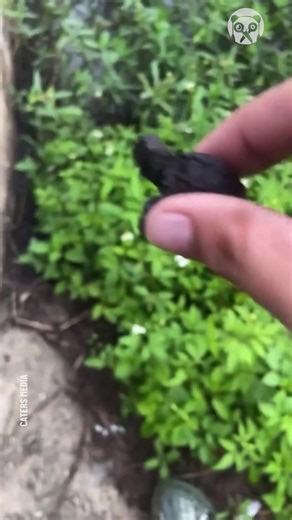 Science, Tech and Universe on Reels