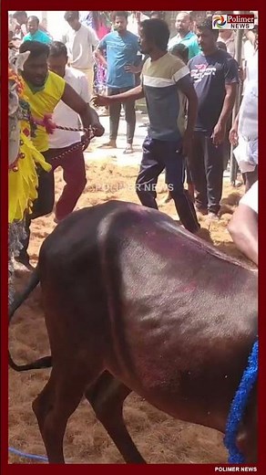 அய்யய்யோ மாட்டிகிட்டேன்! இவன்கிட்ட மாட்டிக்கிட்டேன்! #Shorts