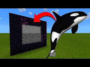 How To Make A Portal To The Orca Whale Dimension in Minecraft!