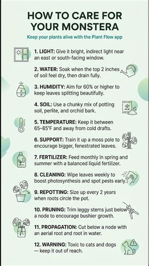 How to Care for Your Monstera 🌿 The Easy Way! 💧 #Monstera #PlantCare #Houseplants