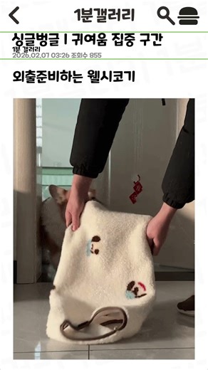 행복 게이지 상승 #1분 #1분쇼츠 #레전드