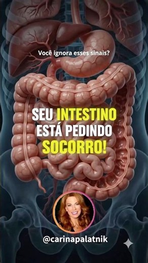ALERTA de UM INTESTINO EM DISBIOSE ! CARINA PALATNIK
