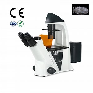 [Hot Item] Inverted Fluorescent Microscope with Dual Photo & Video Channel Support Eyepiece / Digital Camera