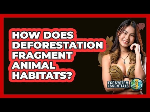 How Does Deforestation Fragment Animal Habitats? - Ecosystem Essentials