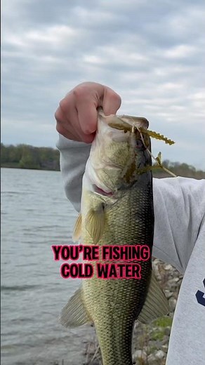 The FASTEST Way To Catch BASS In Spring! 🎣 #shorts #fishing #bassfishing