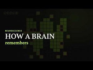 I Built a Memory That Repairs Itself (Hopfield Network from scratch)