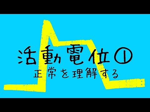 [Action potential] Understanding from ion channels.