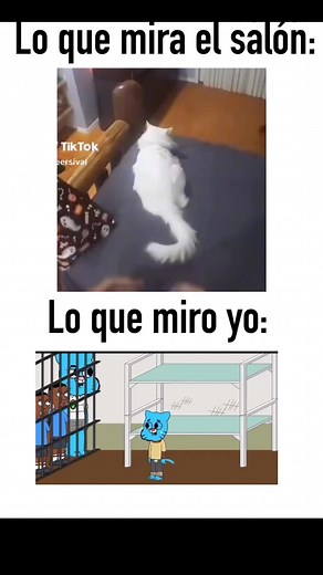 ZackStudioZ on TikTok