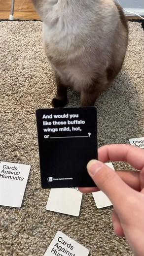 Dear god. #cat #bap #oof | bap.kat