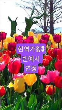 #현역가왕3#빈예서#연정#나훈아#노래가사