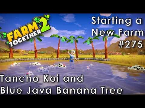 Farm Together 2 - The Last Fish and The Last Banana Tree (Starting a Farm 275)