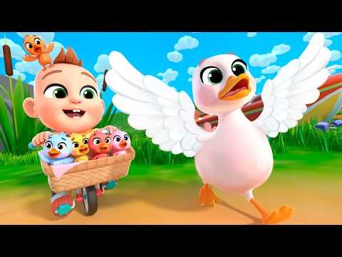 5 Little Ducks & Finger Family Song | Nursery Rhymes