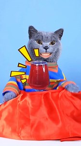 Cat Magic EXPOSED 😹🪄 | DENIS MAGIC SHOW