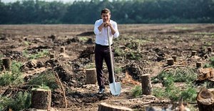One billion trees to be planted in Ukraine in next three years – program