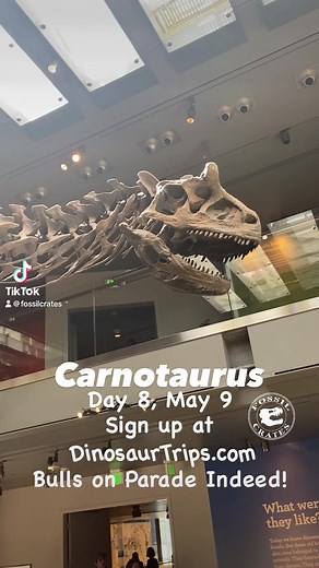 39K views · 652 reactions | Carnotaurus! Flesh-eating bull!Come see...