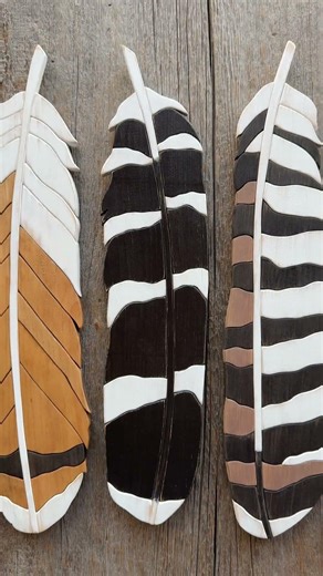 Hawk. Feathers. Red Shouldered Hawk. Birds of Prey. Raptors. Feather Art. Wood Wall Art. Wildlife