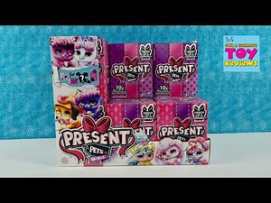 Present Pets Minis Blind Box Surprise Plush Unboxing