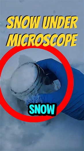 This Is What Snow Really Looks Like Under a Microscope! ❄️🔬