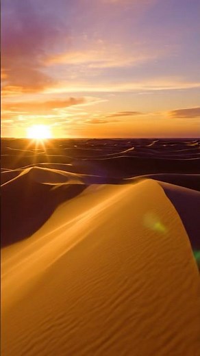 Ultra Realistic Desert Sunset | Golden Sand Dunes & Cinematic Nature View 🌅 | 4K Shorts