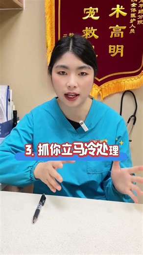 Stop Your Cat from Scratching You: 4 Essential Tips