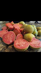 3.5K views · 55 reactions | Tropical Pink Guava with fresh squeezed...
