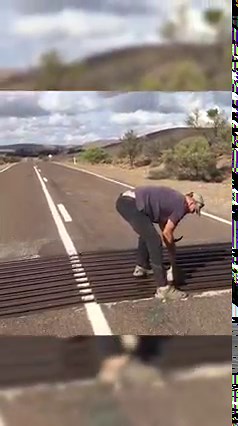 This kangaroo rescue is INCREDIBLE! ✨🦘💕 | The Pet Collective