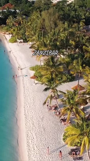 Essential Tips for Traveling to Zanzibar