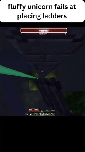 fluffy unicorn fails at placing ladders in modded minecraft 1.12.2
